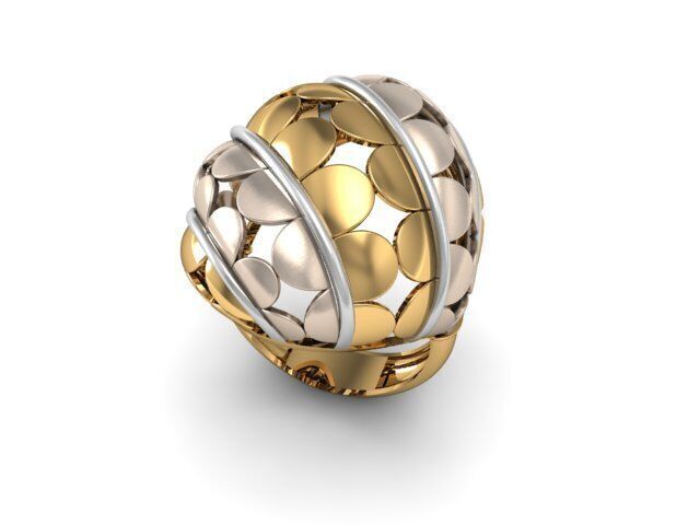 12 Ring 3dm 3d print Model 3D print model_7