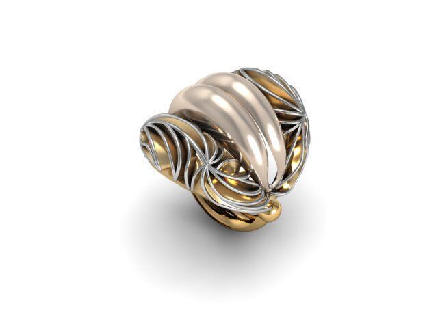 12 Ring 3dm 3d print Model 3D print model_10