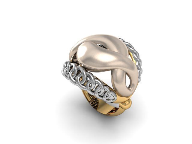 12 Ring 3dm 3d print Model 3D print model_3