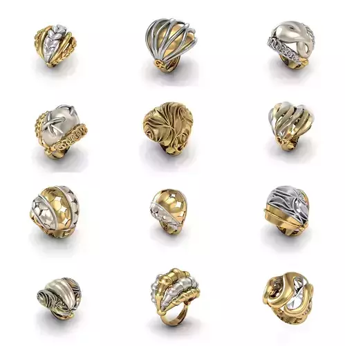 12 Ring 3dm 3d print Model