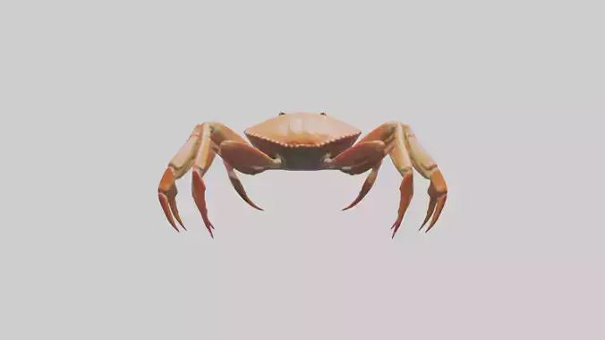 Japanese Spider Crab walking model
