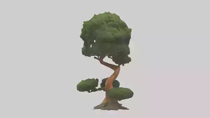 Japanese Yew tree model