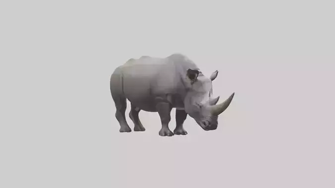 Javan Rhino grazing model