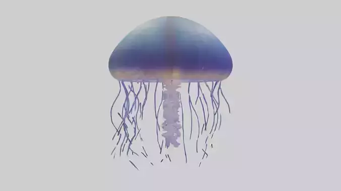 Jellyfish floating model