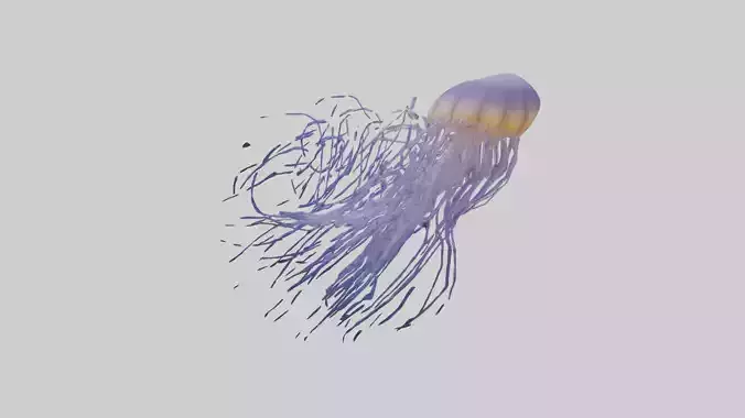 Jellyfish Tentacles