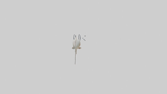 Jellynose Fish gliding model Low-poly 3D model