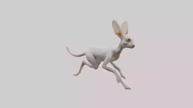 Jerboa hopping model