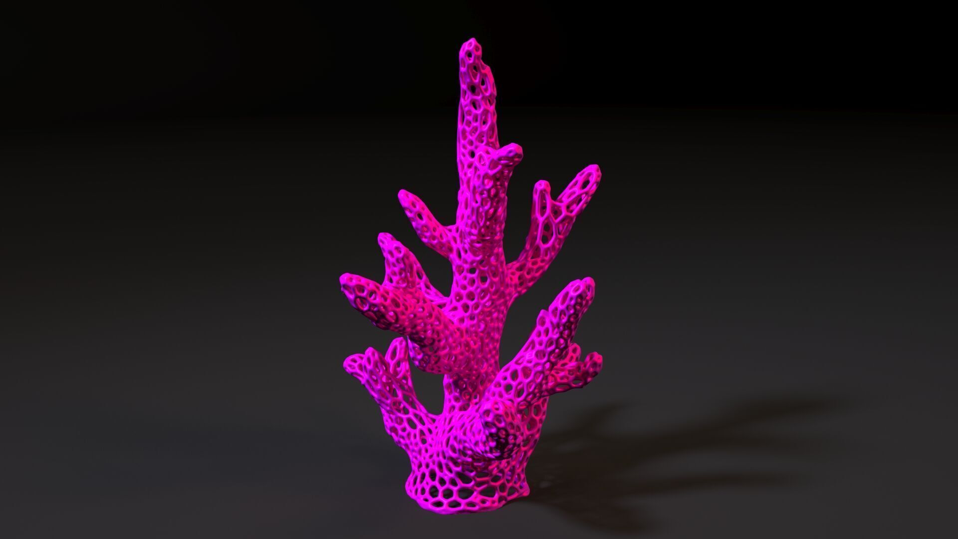 Coral Voronoi 3D print model_7