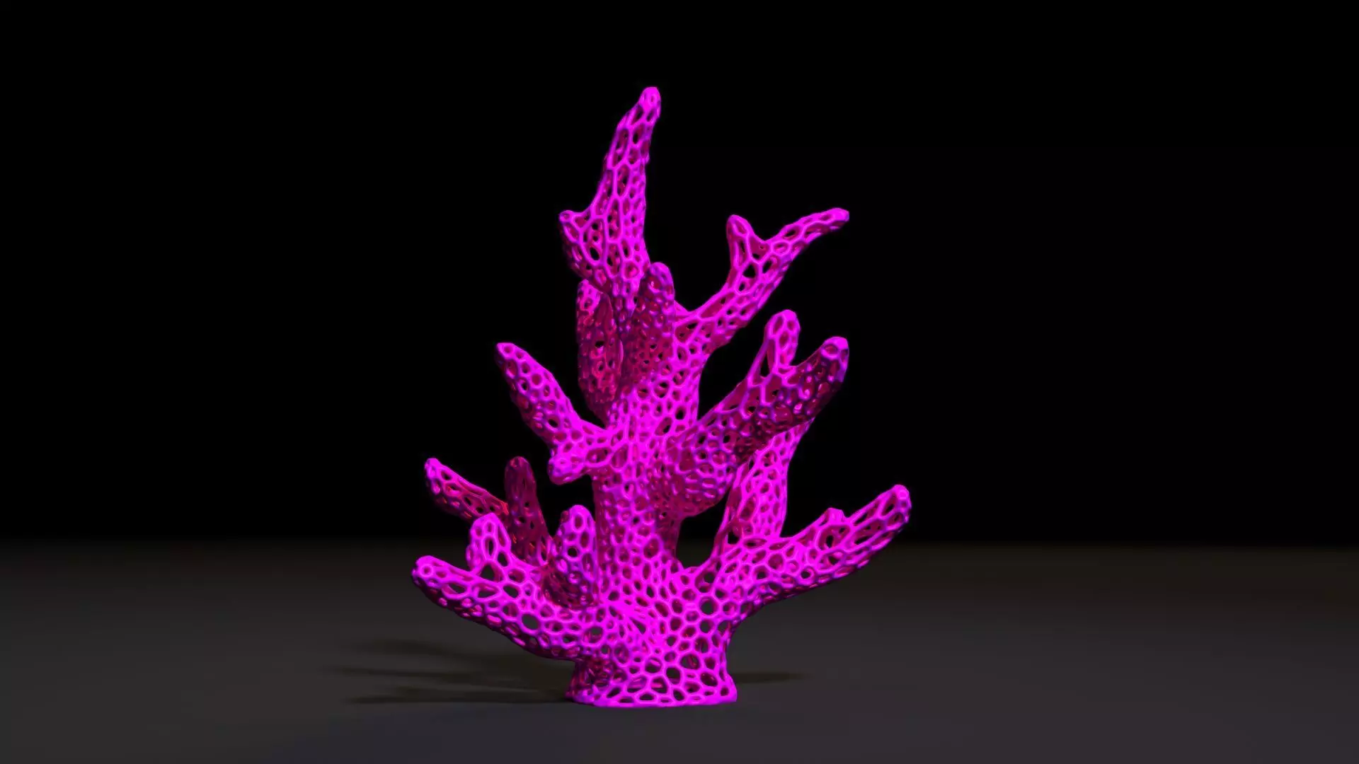 Coral Voronoi 3D print model_0