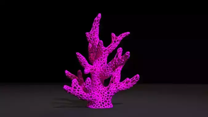 Coral Voronoi