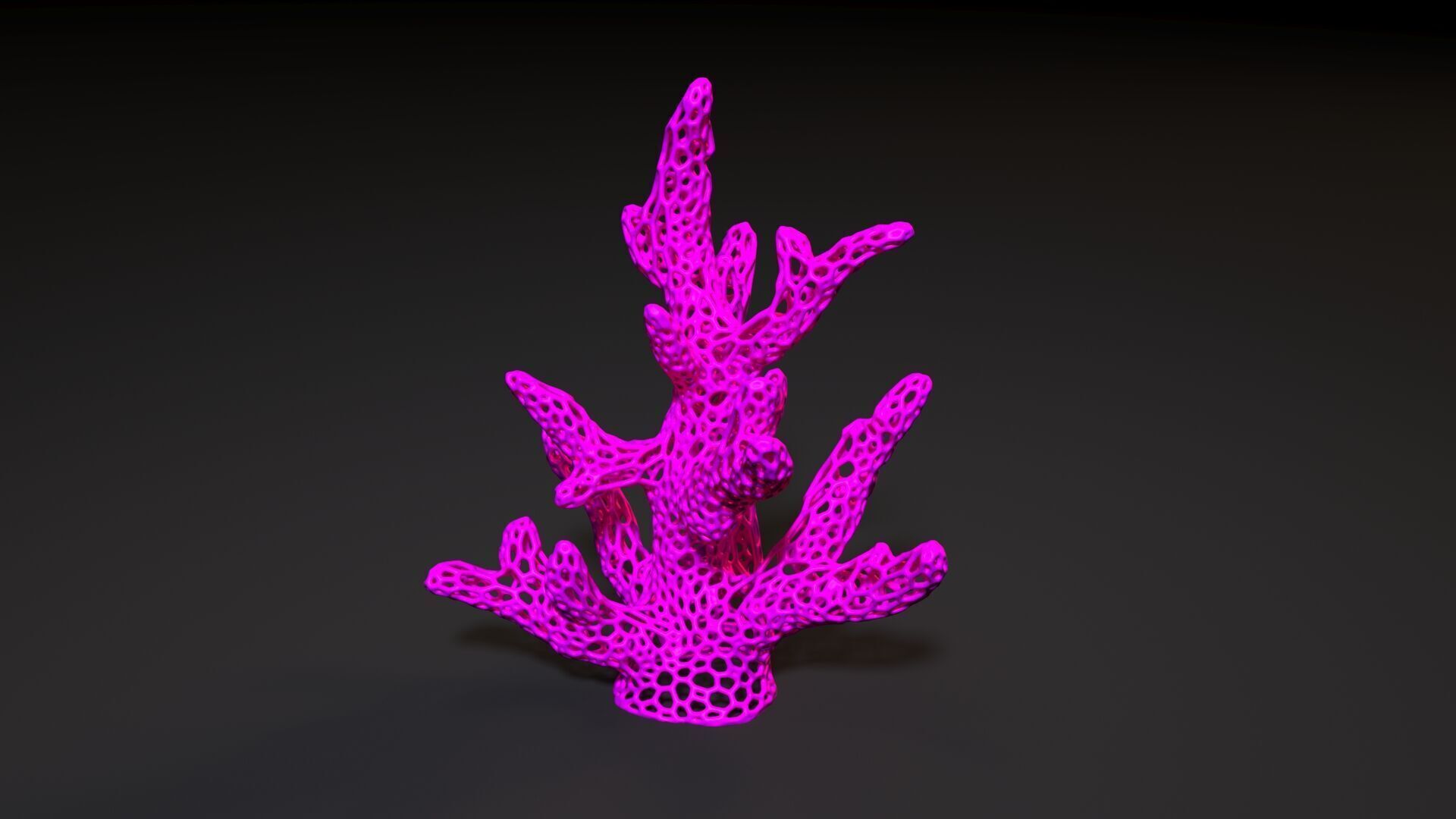 Coral Voronoi 3D print model_6