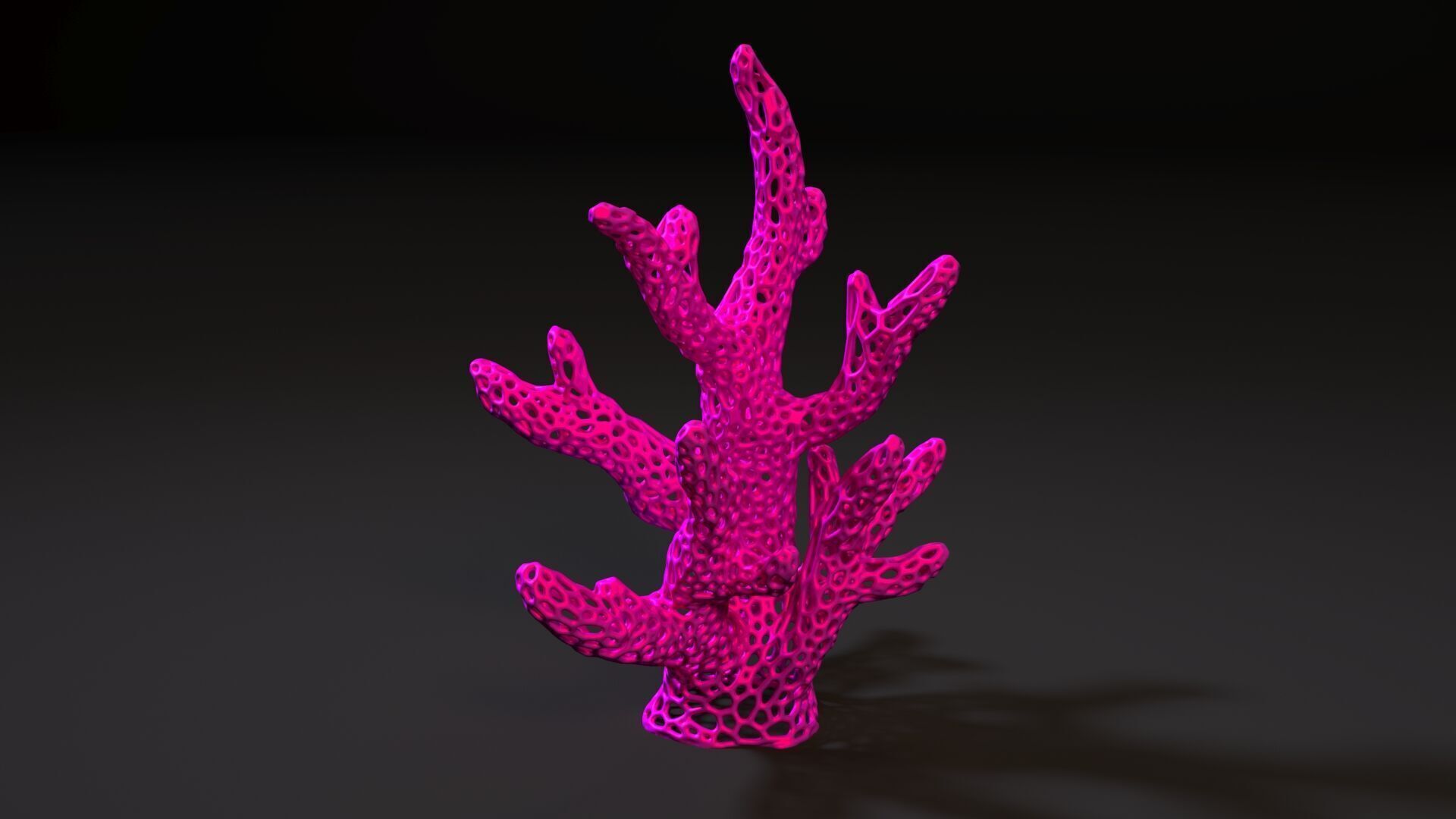 Coral Voronoi 3D print model_1