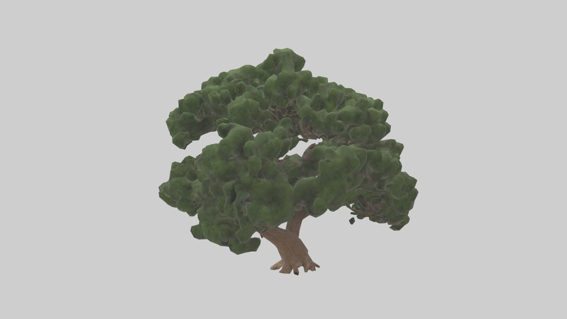 Juniper tree model Low-poly 3D model_1