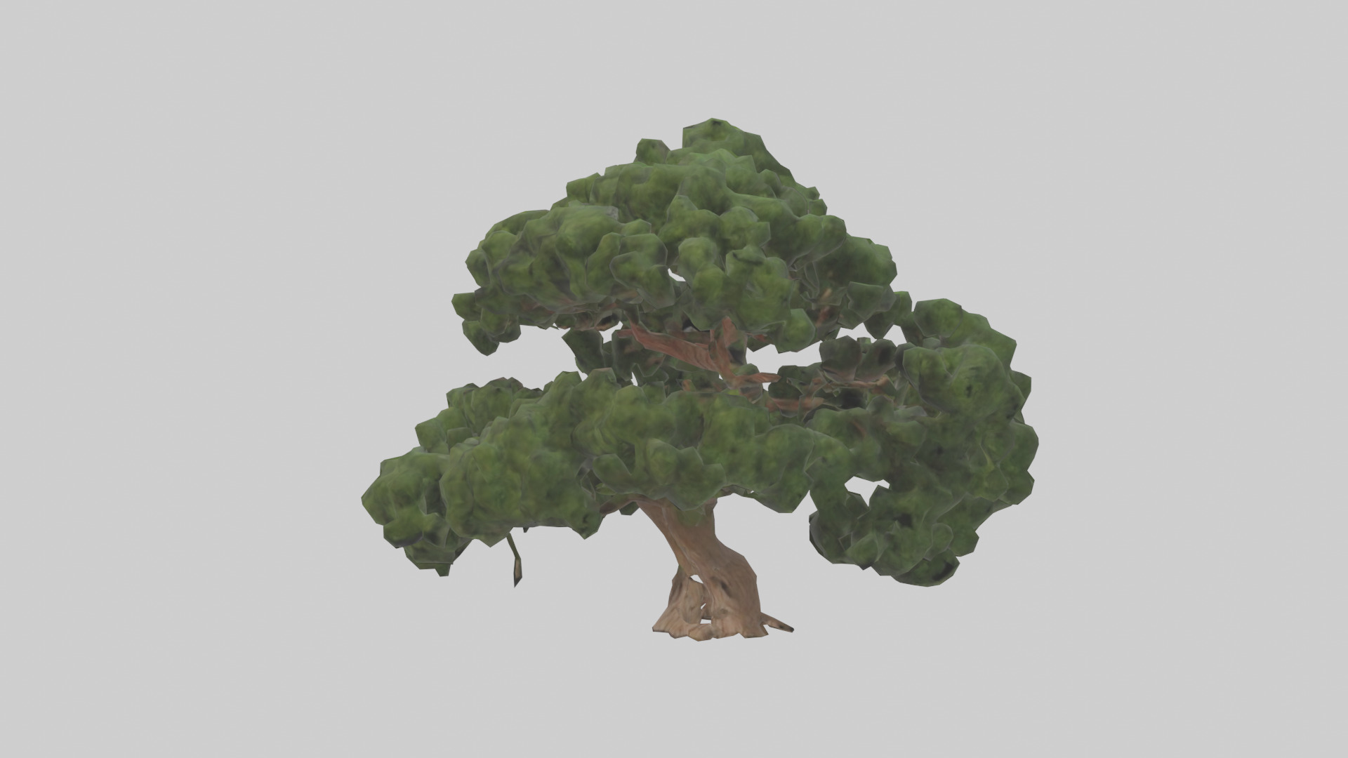 Juniper tree model Low-poly 3D model_8