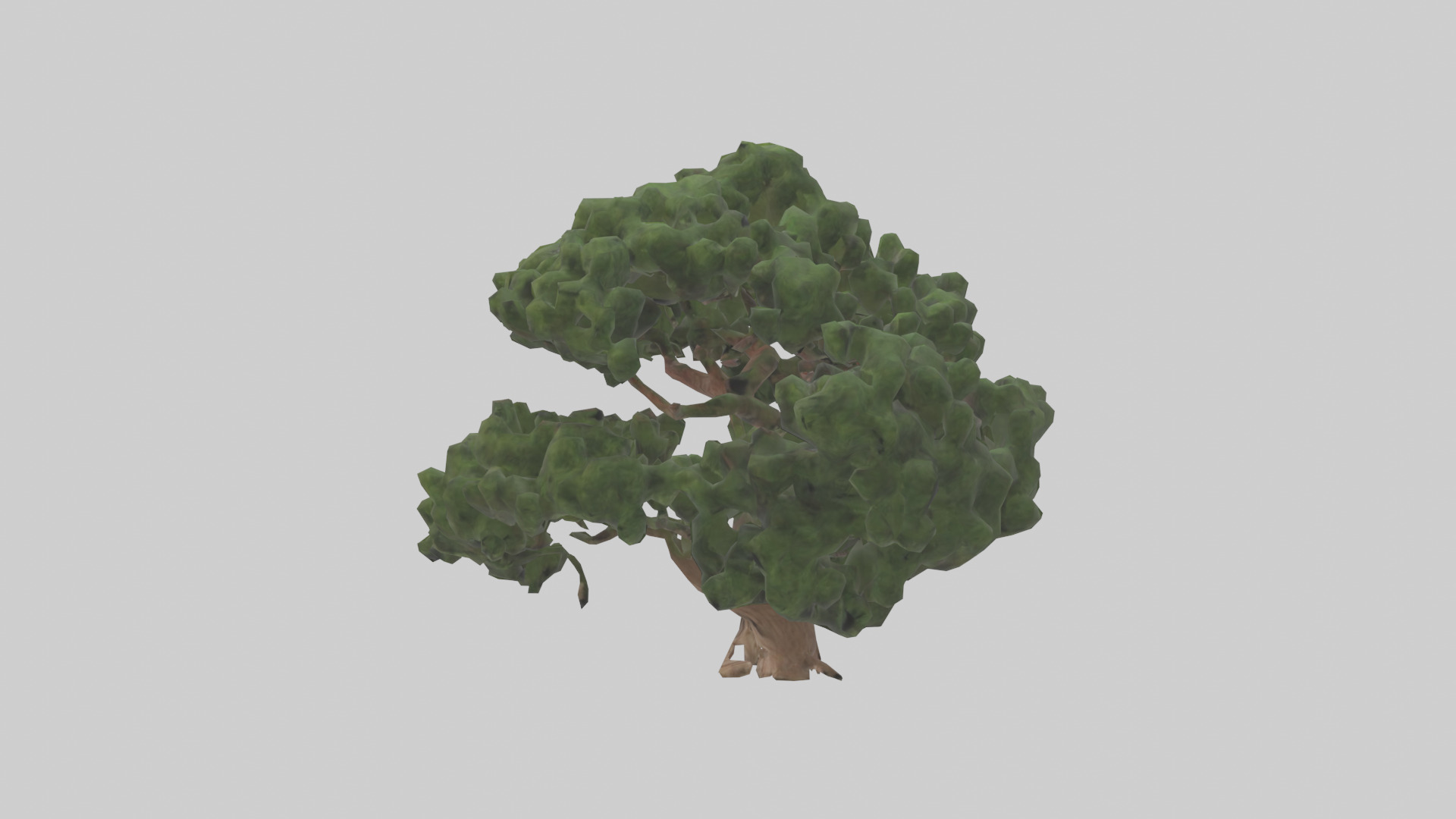 Juniper tree model Low-poly 3D model_12