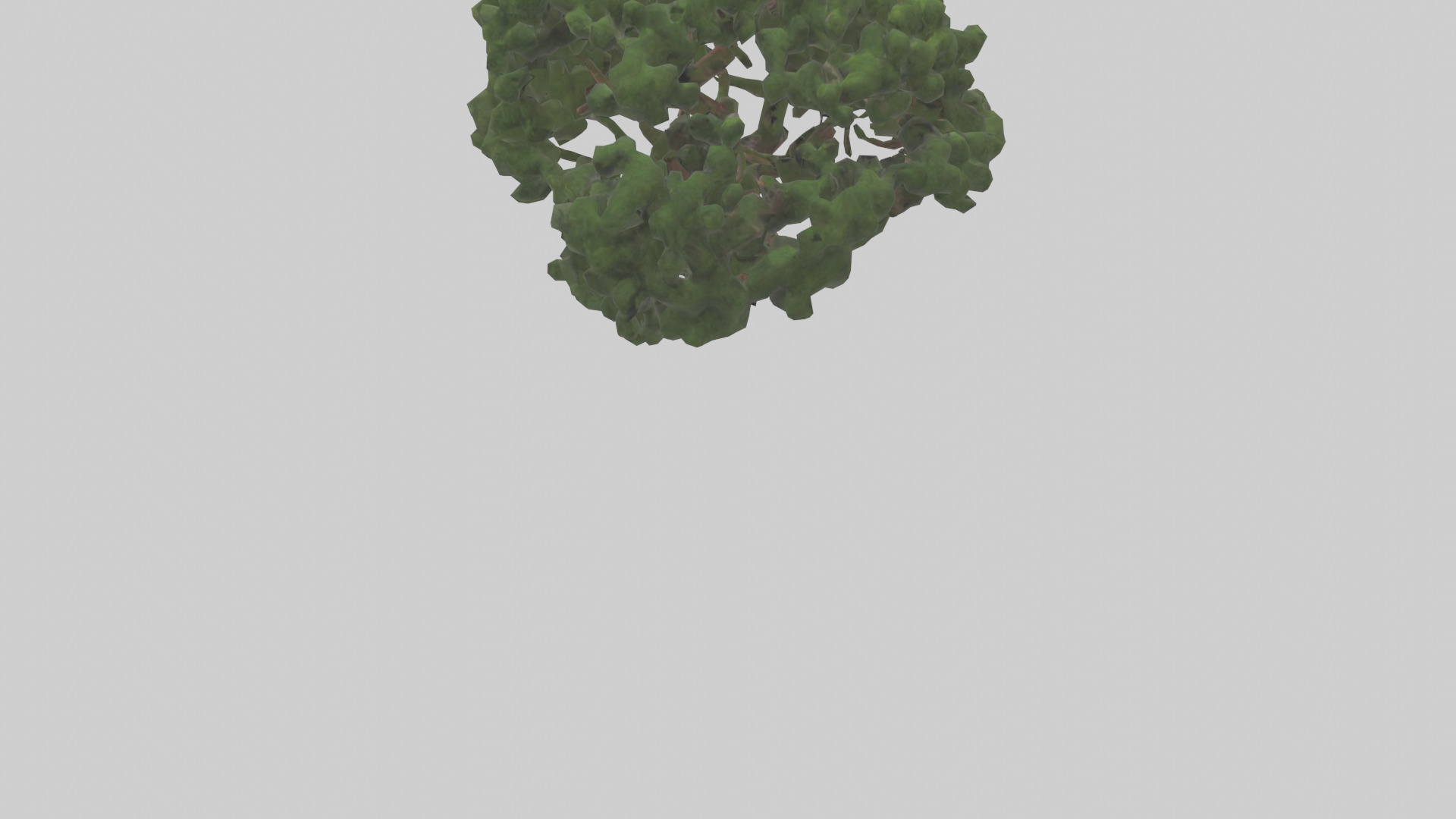 Juniper tree model Low-poly 3D model_3
