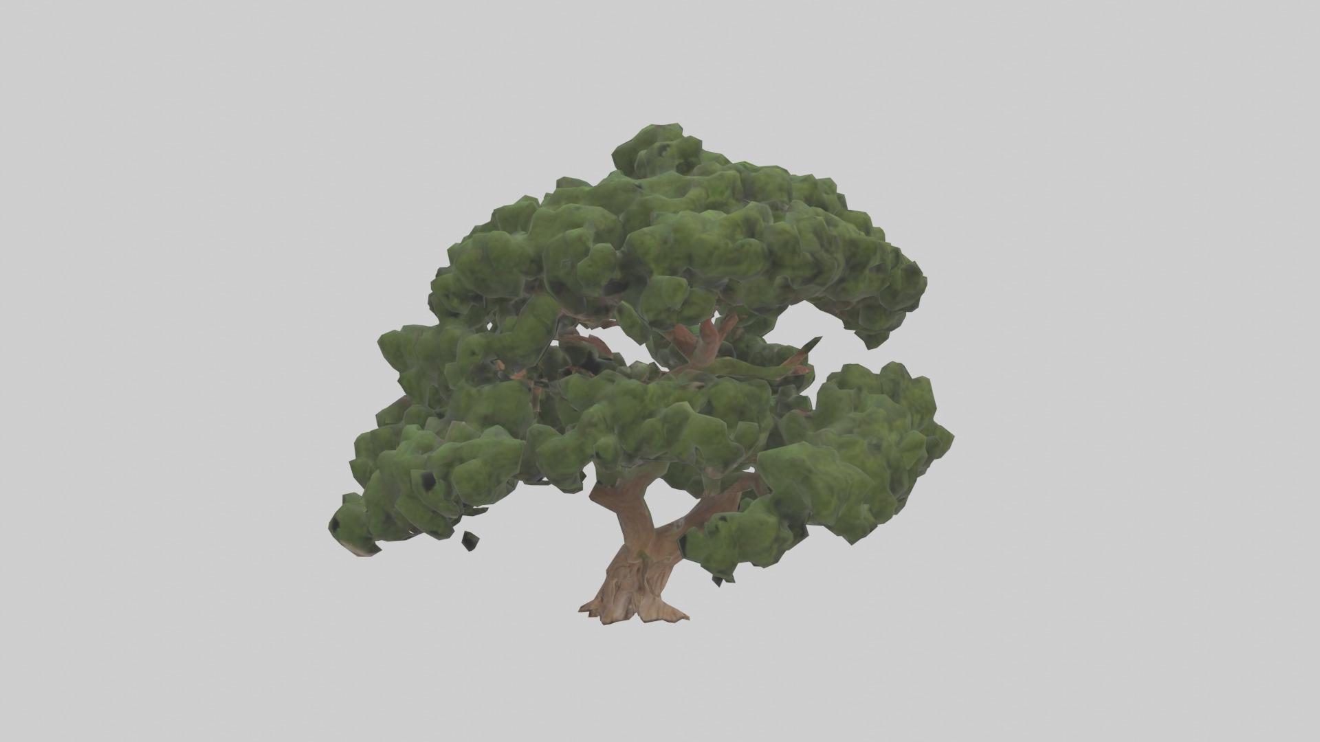 Juniper tree model Low-poly 3D model_11