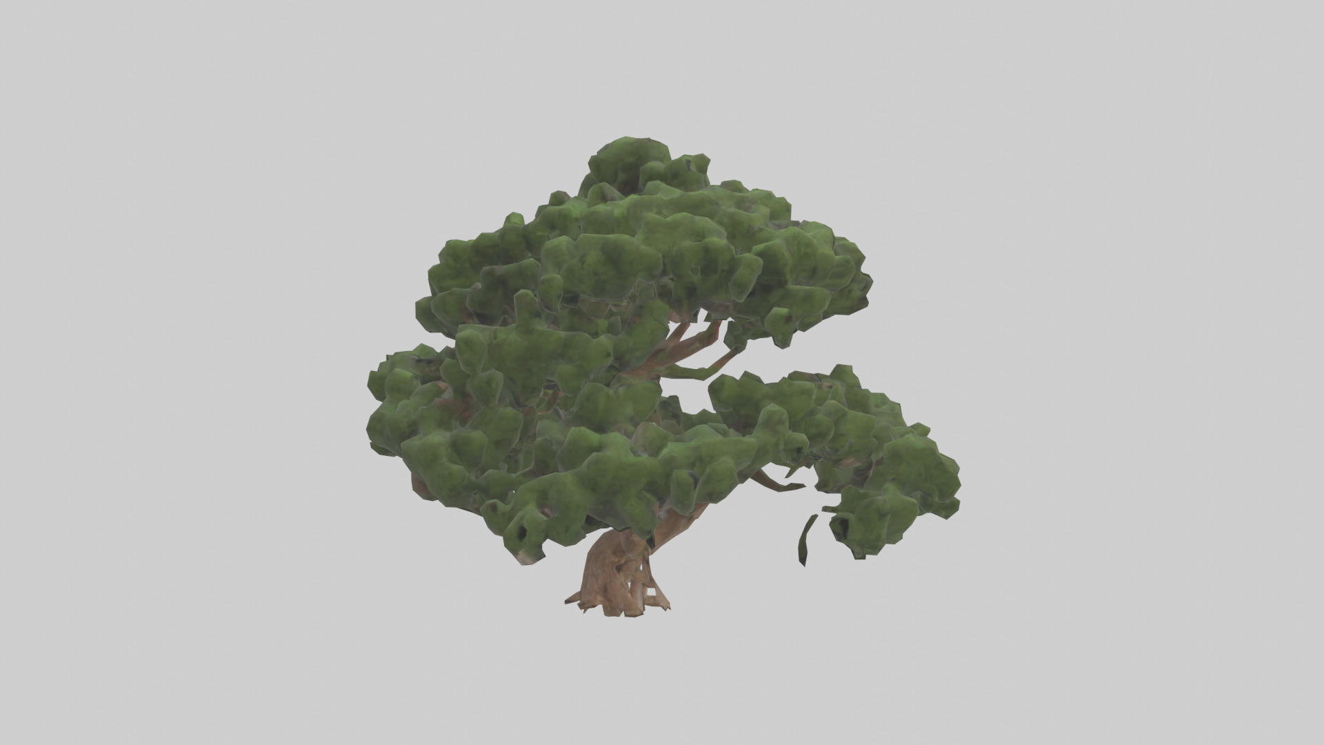 Juniper tree model Low-poly 3D model_13