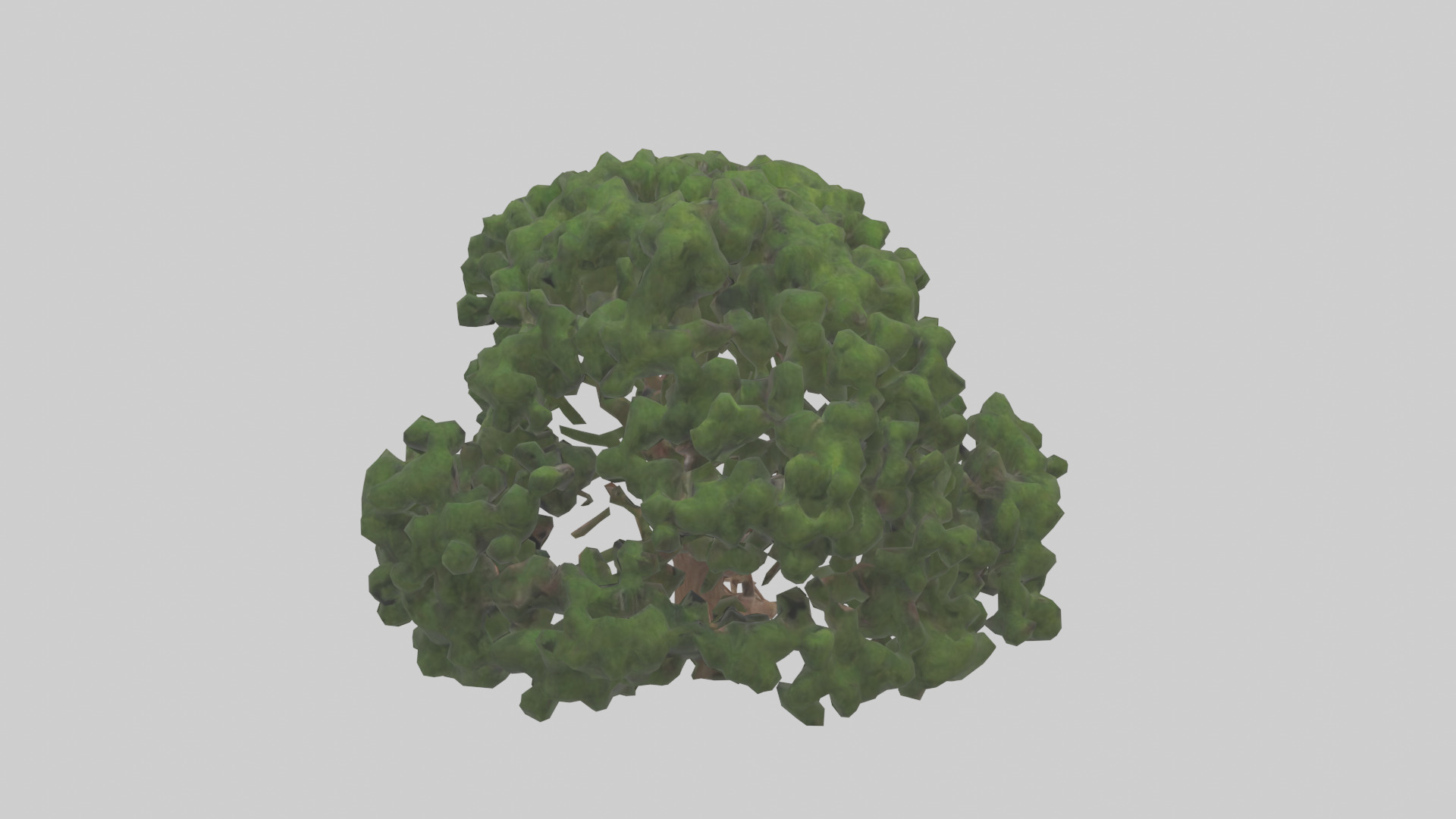 Juniper tree model Low-poly 3D model_15