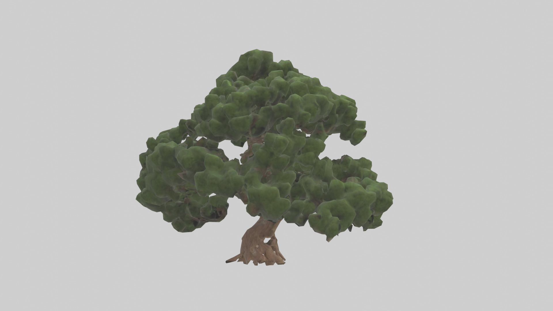 Juniper tree model Low-poly 3D model_2