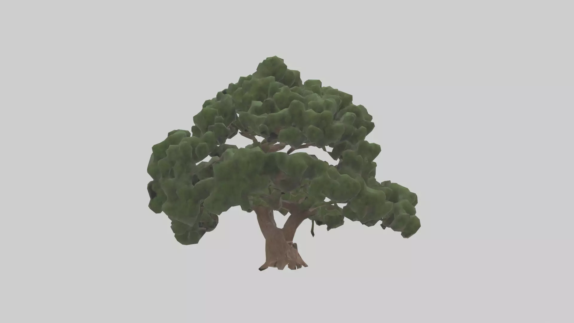 Juniper tree model Low-poly 3D model_0