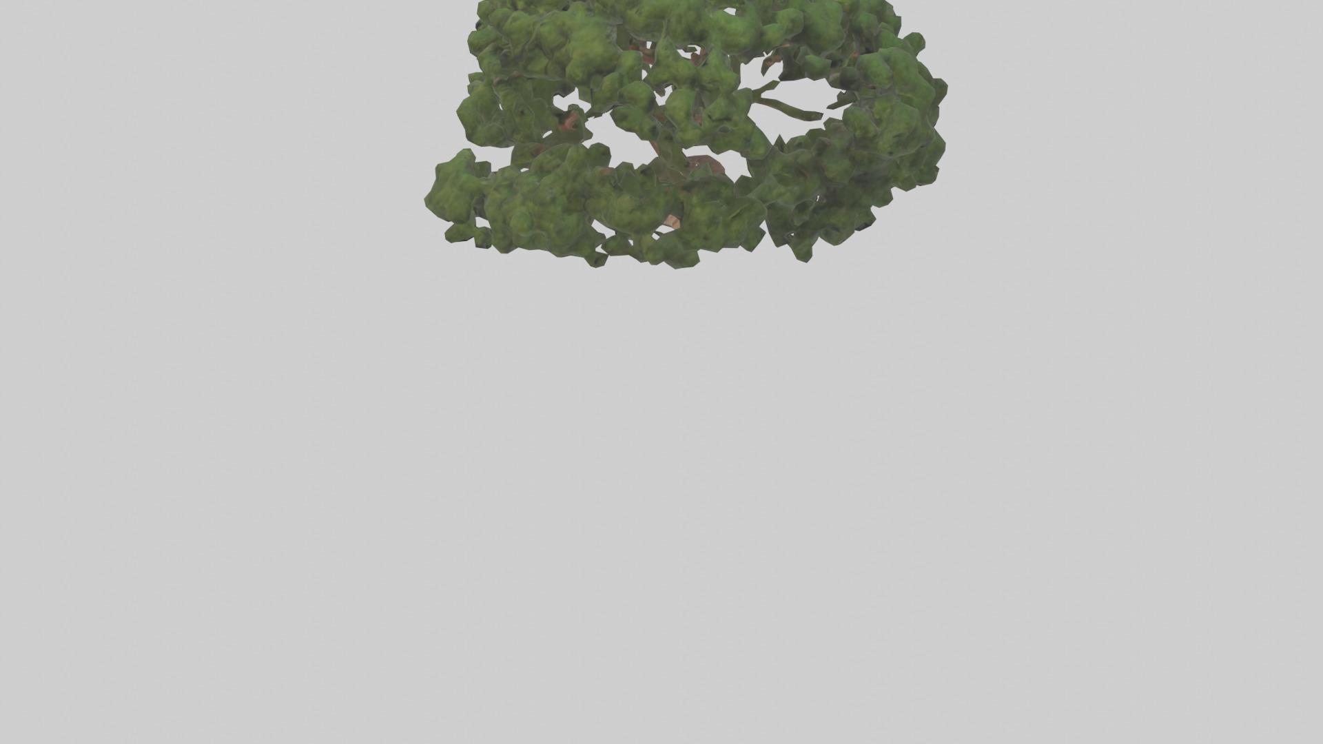 Juniper tree model Low-poly 3D model_5