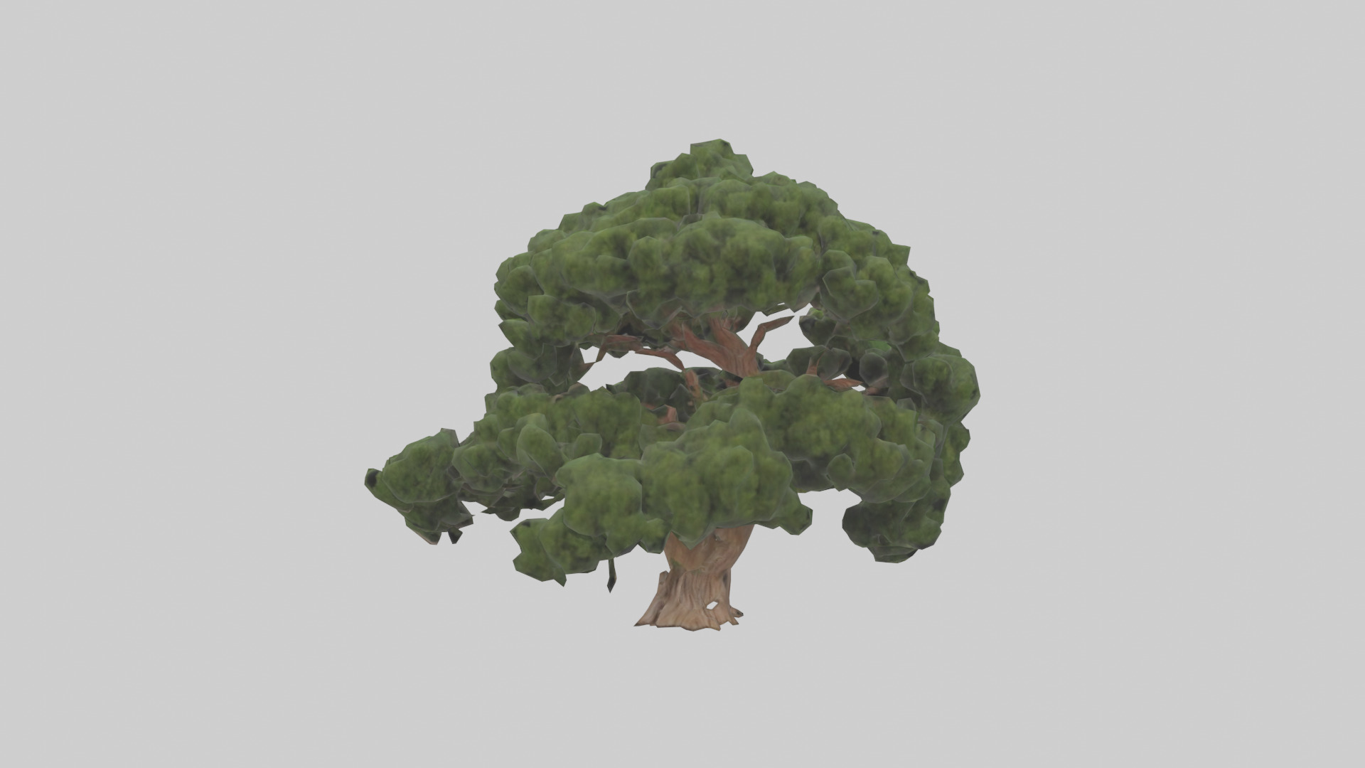 Juniper tree model Low-poly 3D model_9