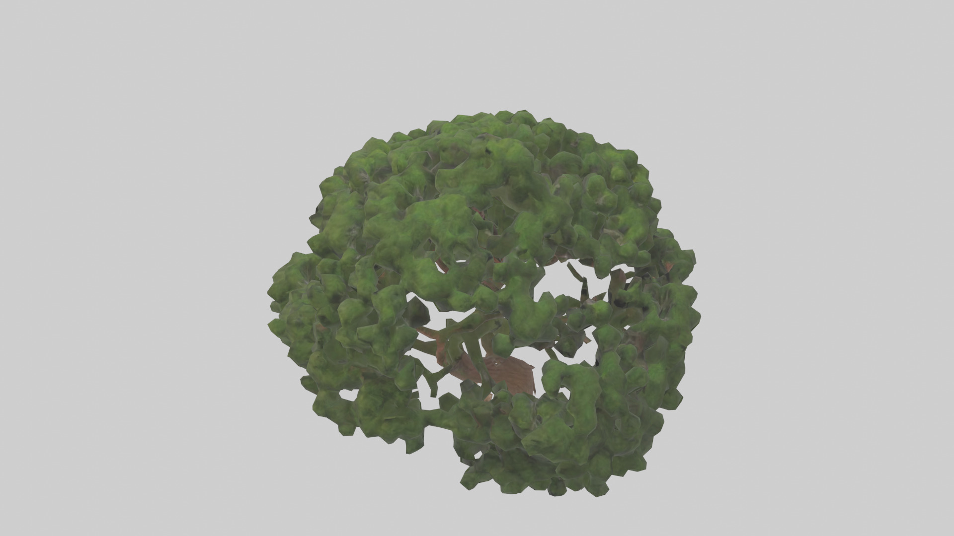 Juniper tree model Low-poly 3D model_17