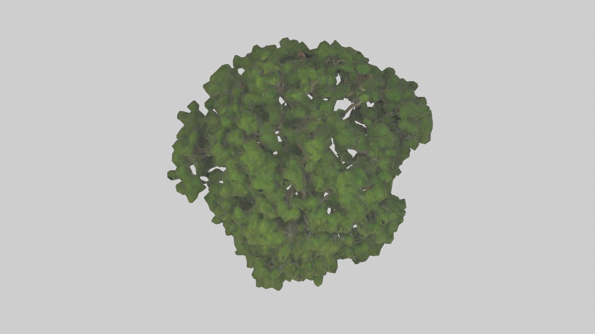 Juniper tree model Low-poly 3D model_14