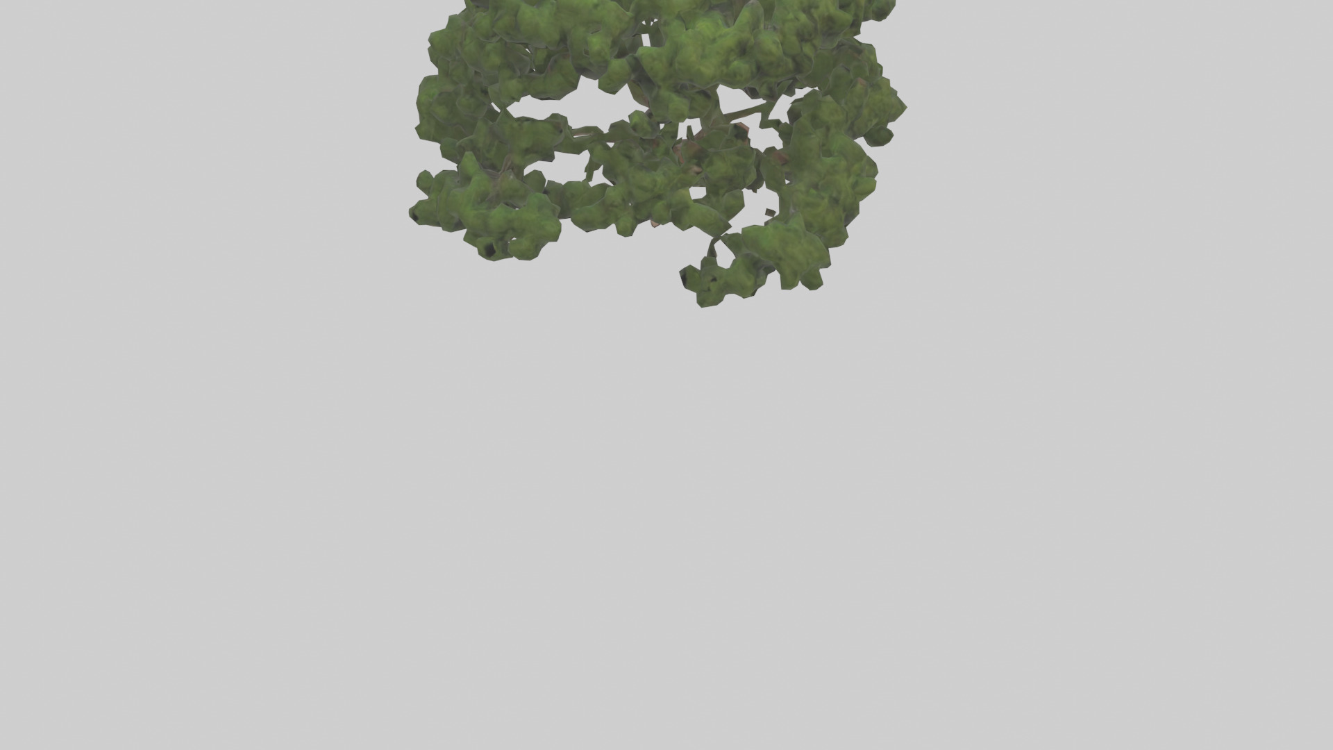 Juniper tree model Low-poly 3D model_6