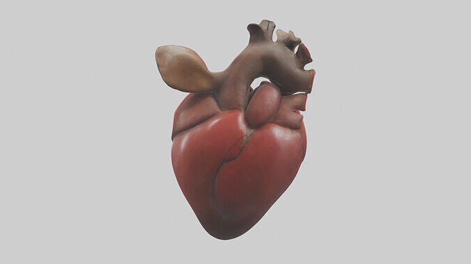 Kangaroo Heart Low-poly 3D model