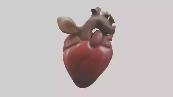 Kangaroo Heart Low-poly 3D model