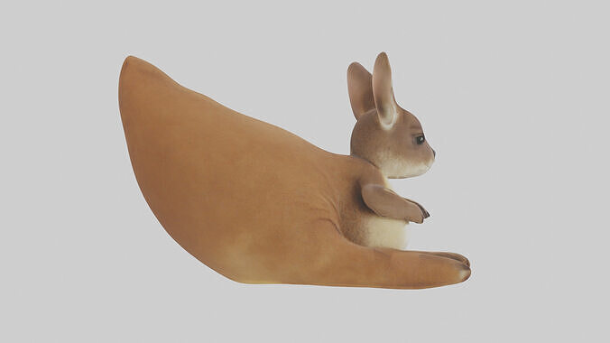Kangaroo joey in pouch model Low-poly 3D model 4