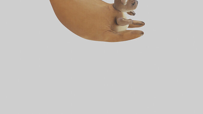 Kangaroo joey in pouch model Low-poly 3D model 6