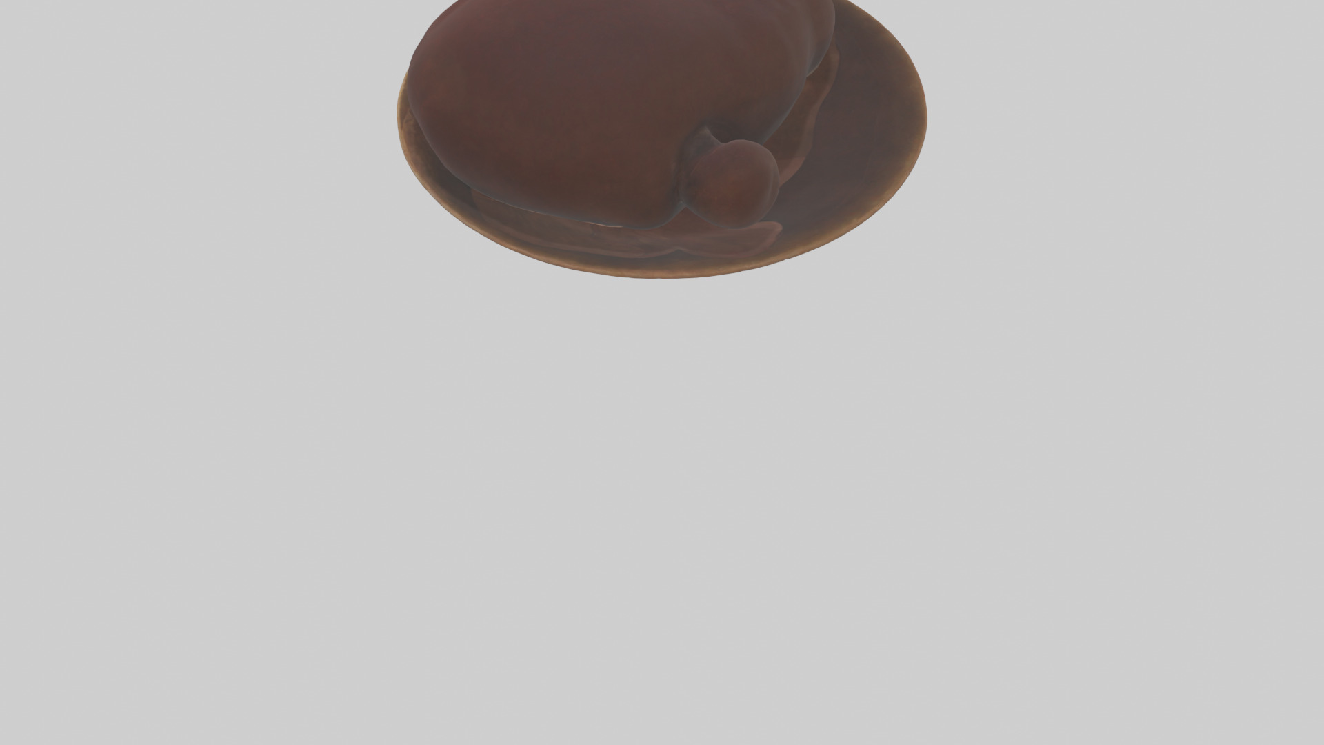 Kangaroo Liver Low-poly 3D model_3