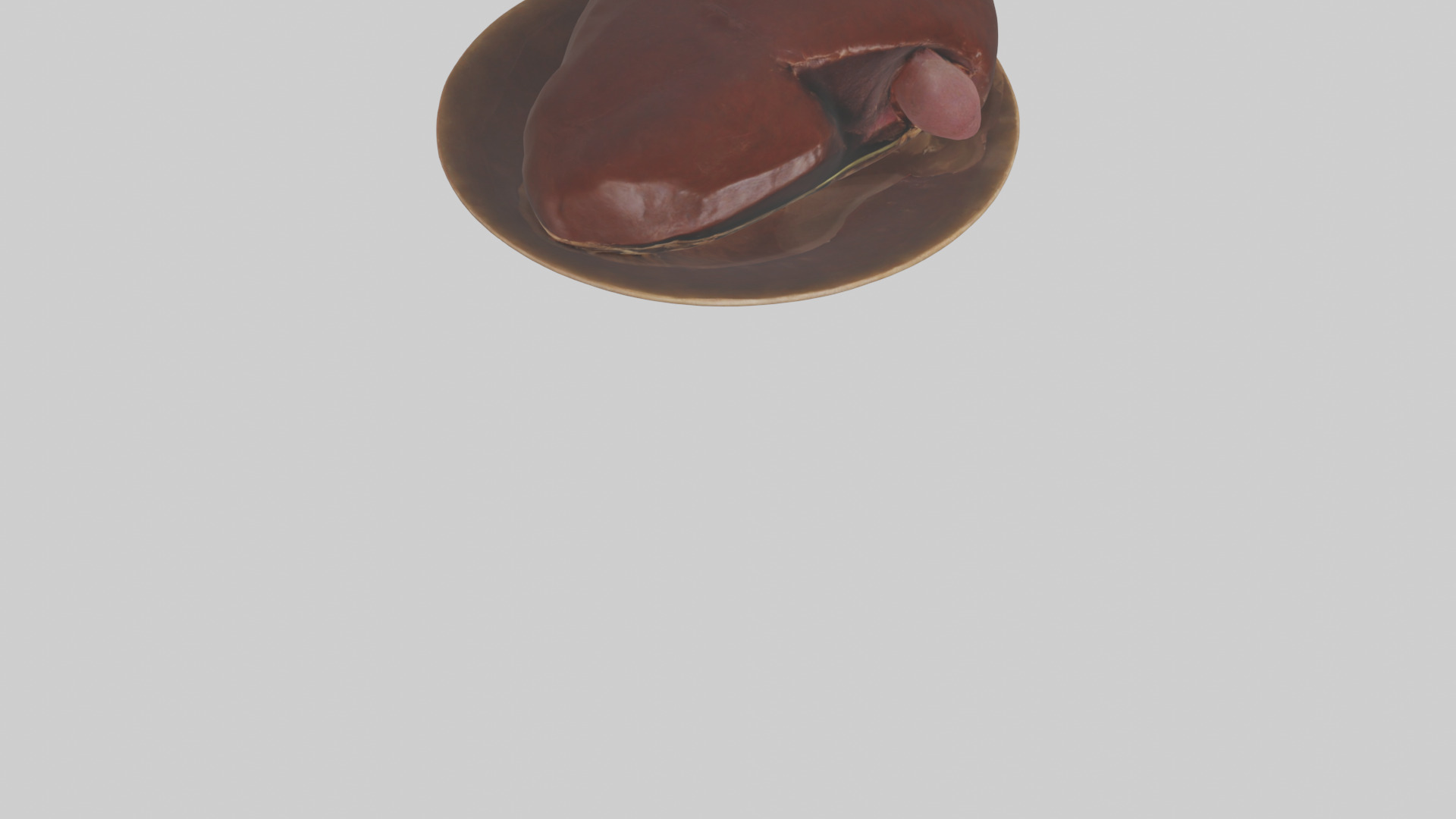 Kangaroo Liver Low-poly 3D model_6