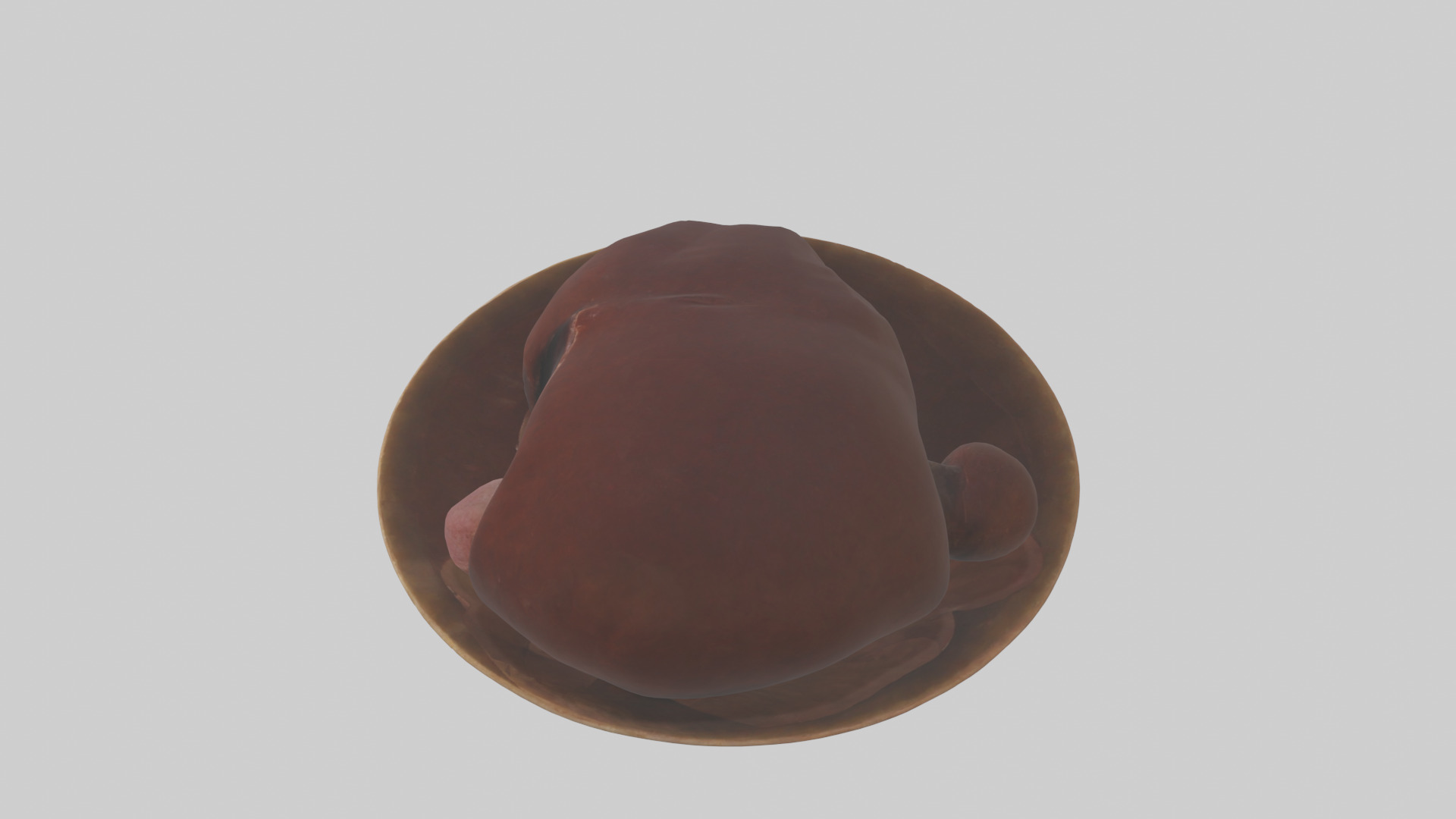 Kangaroo Liver Low-poly 3D model_17