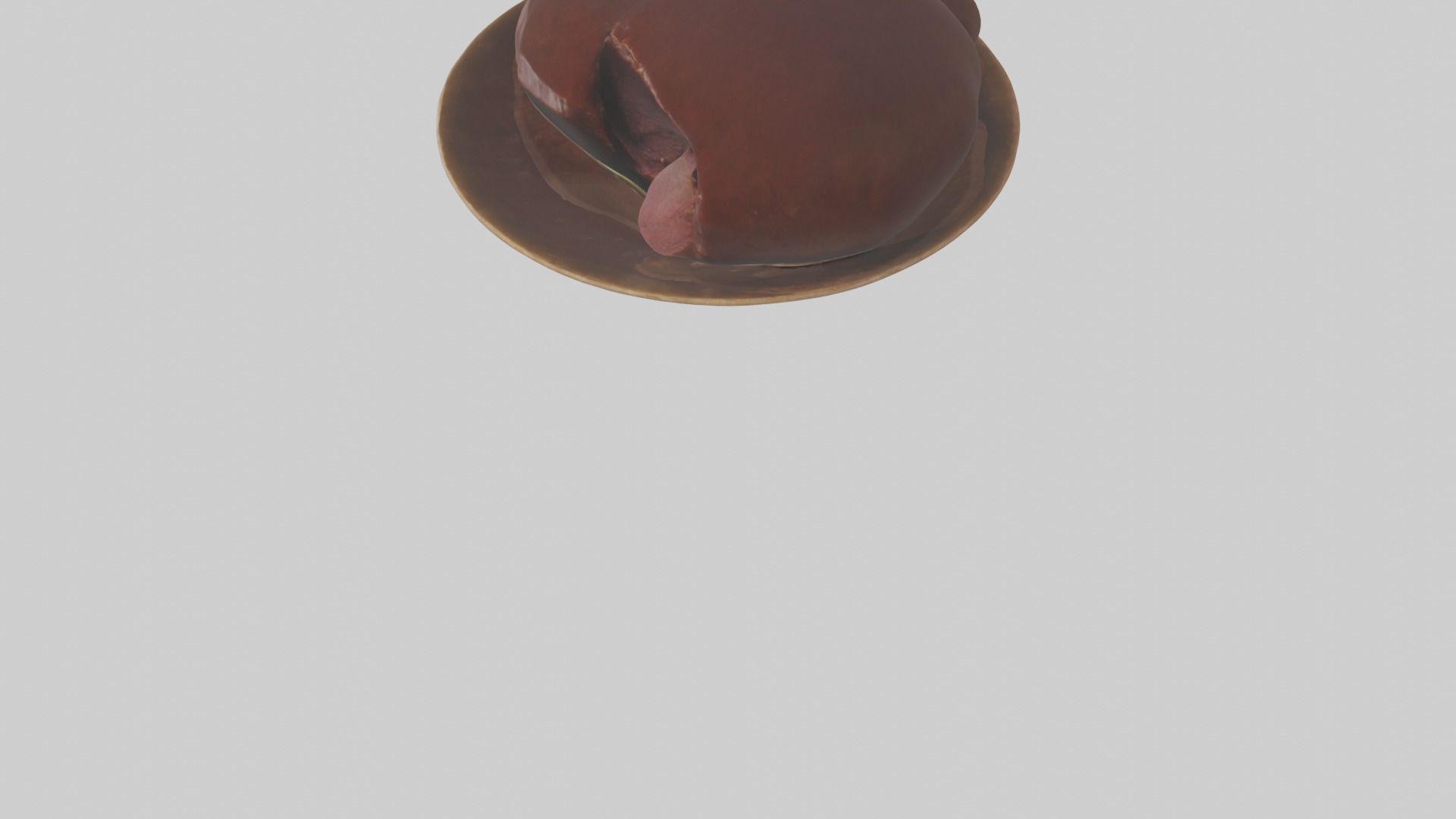 Kangaroo Liver Low-poly 3D model_5