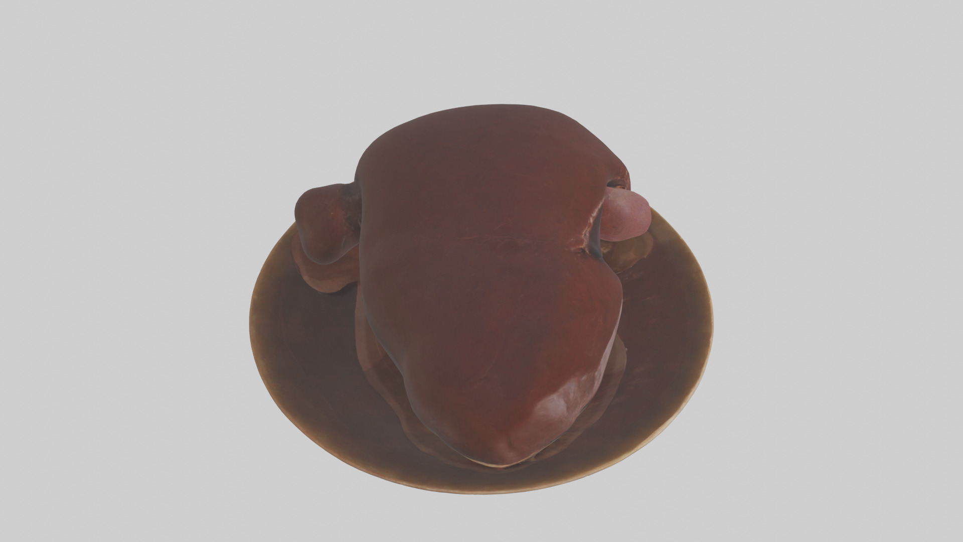 Kangaroo Liver Low-poly 3D model_18