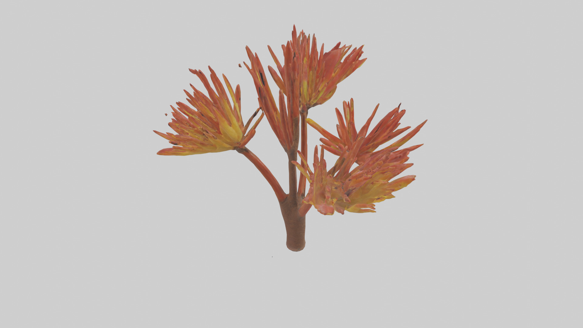 Kangaroo Mouse hopping model Low-poly 3D model_14