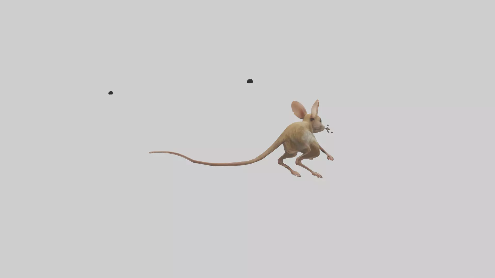 Kangaroo Mouse hopping model Low-poly 3D model_0