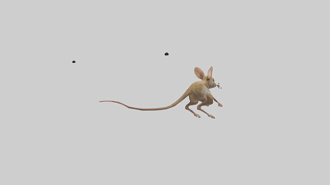 Kangaroo Mouse hopping model Low-poly 3D model