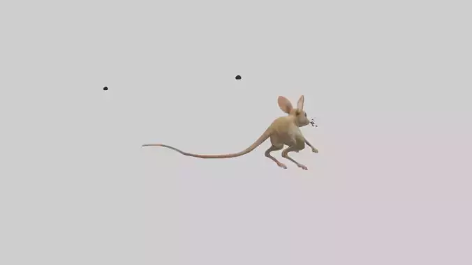 Kangaroo Mouse hopping model