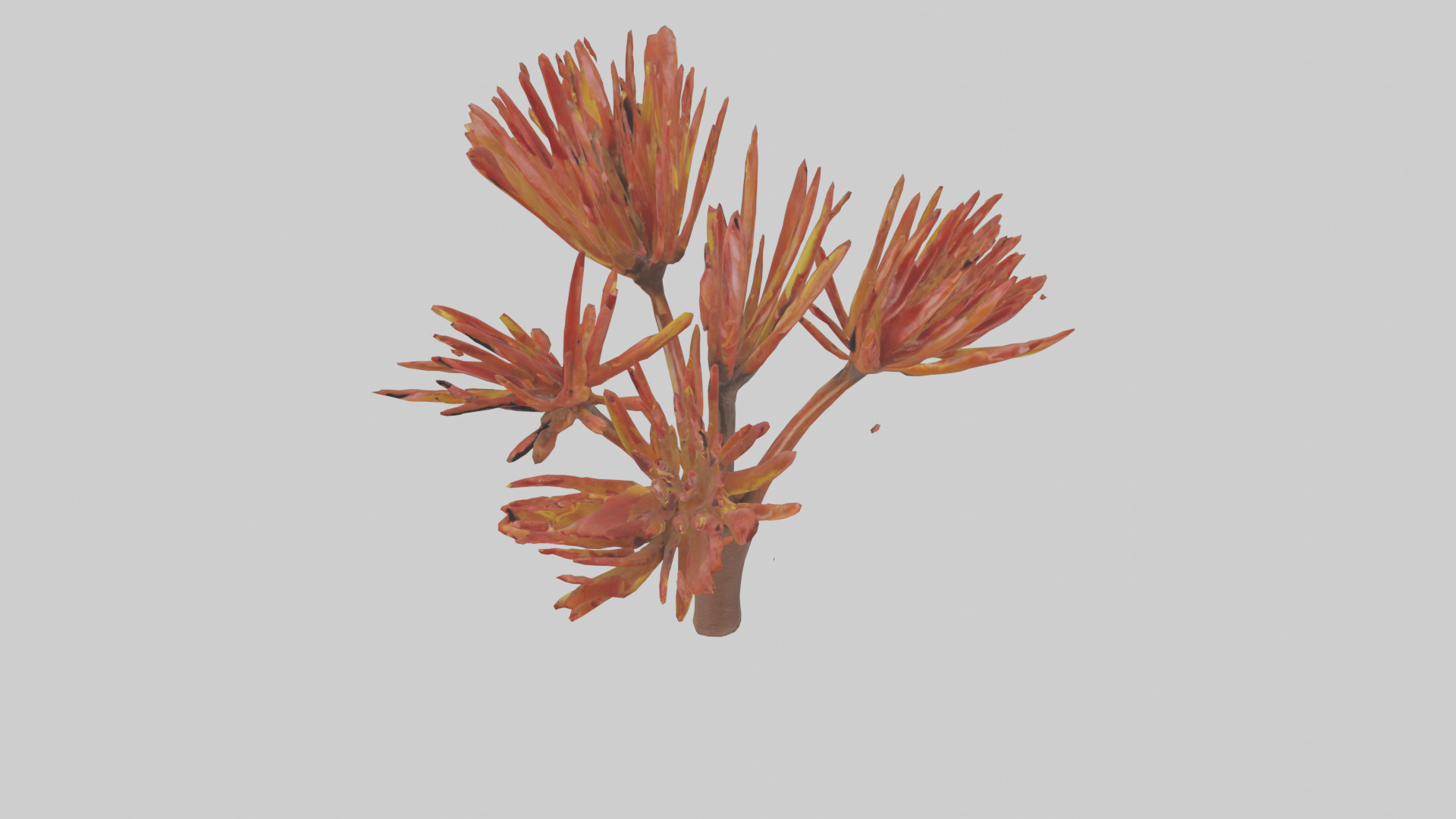 Kangaroo Mouse hopping model Low-poly 3D model_7