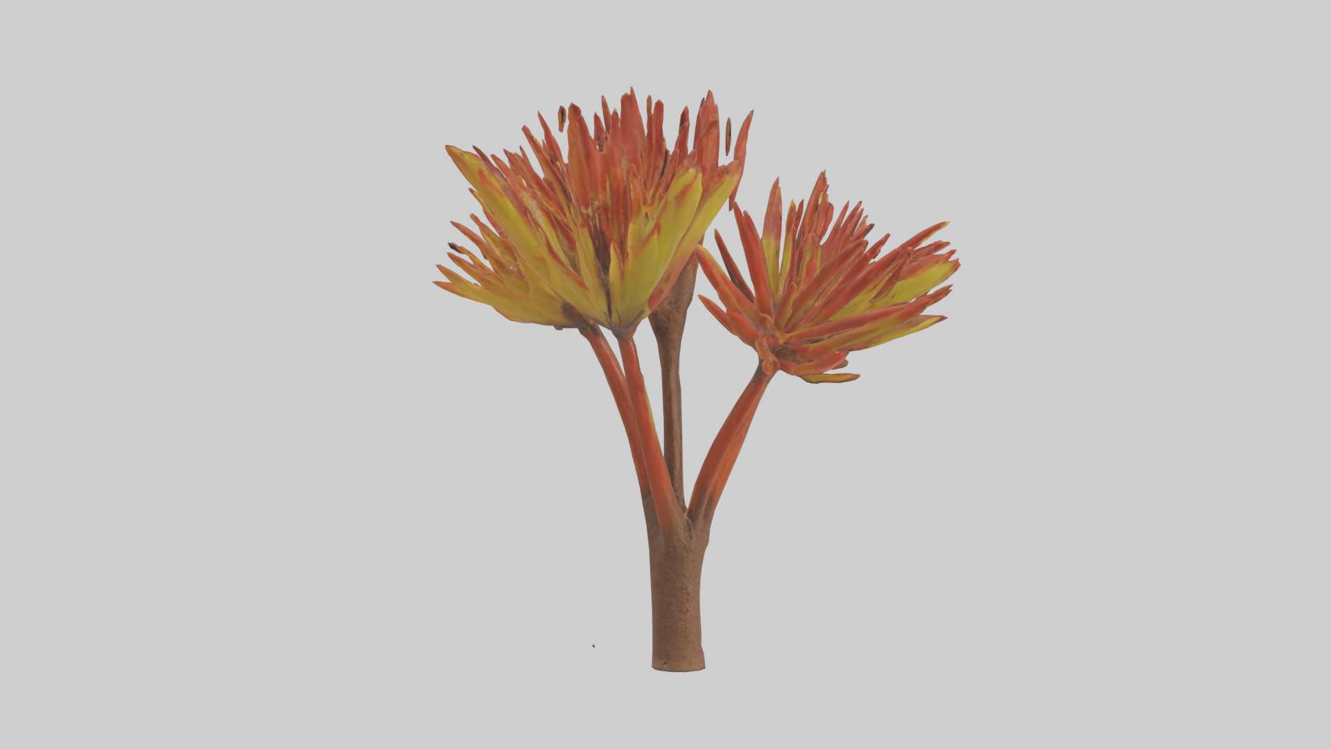 Kangaroo Mouse hopping model Low-poly 3D model_8