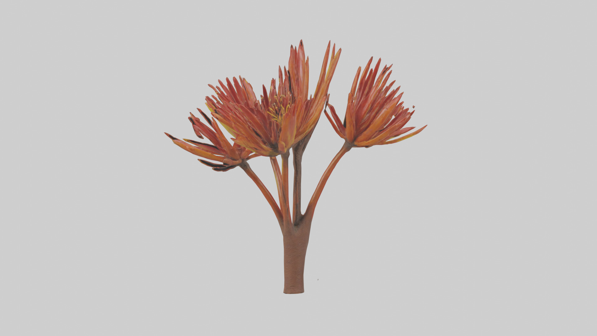 Kangaroo Mouse hopping model Low-poly 3D model_13