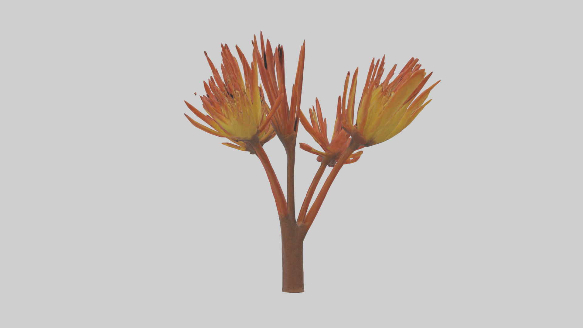 Kangaroo Mouse hopping model Low-poly 3D model_16