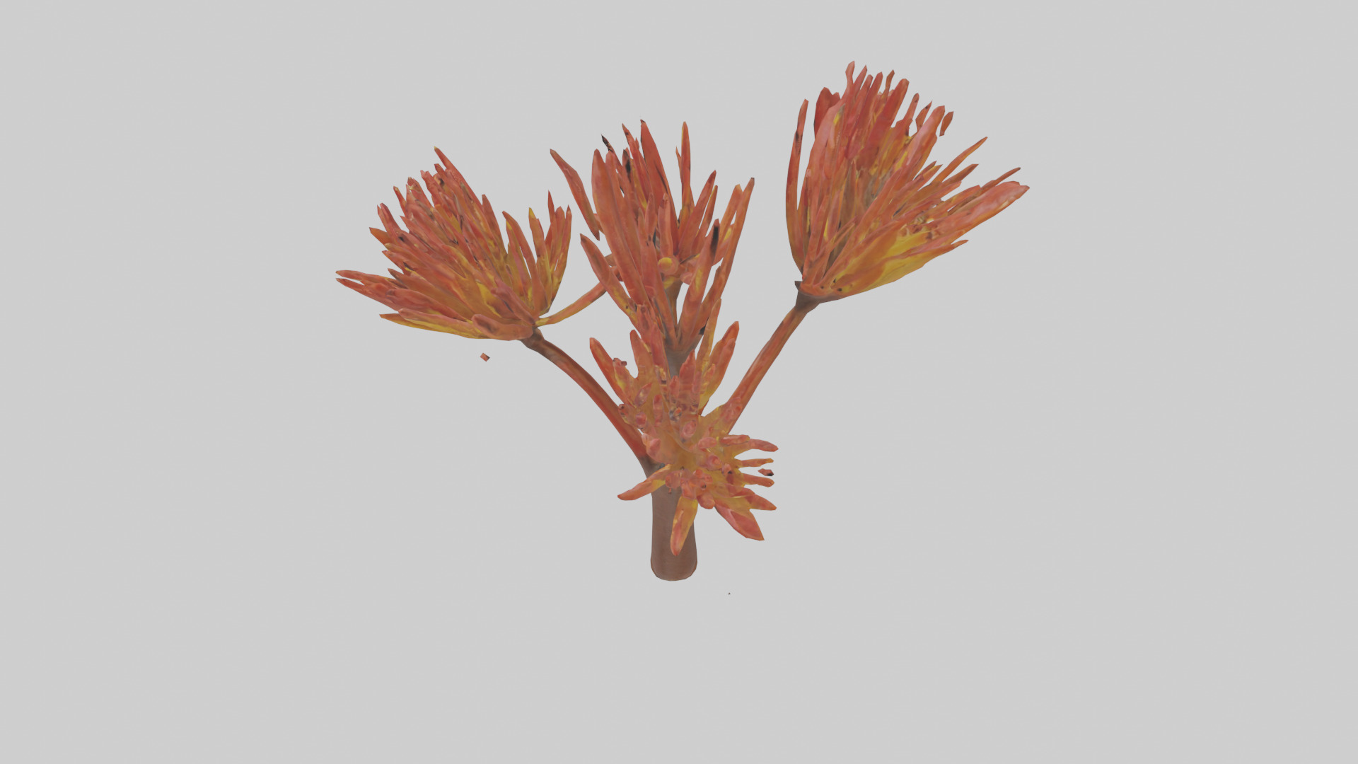 Kangaroo Mouse hopping model Low-poly 3D model_6