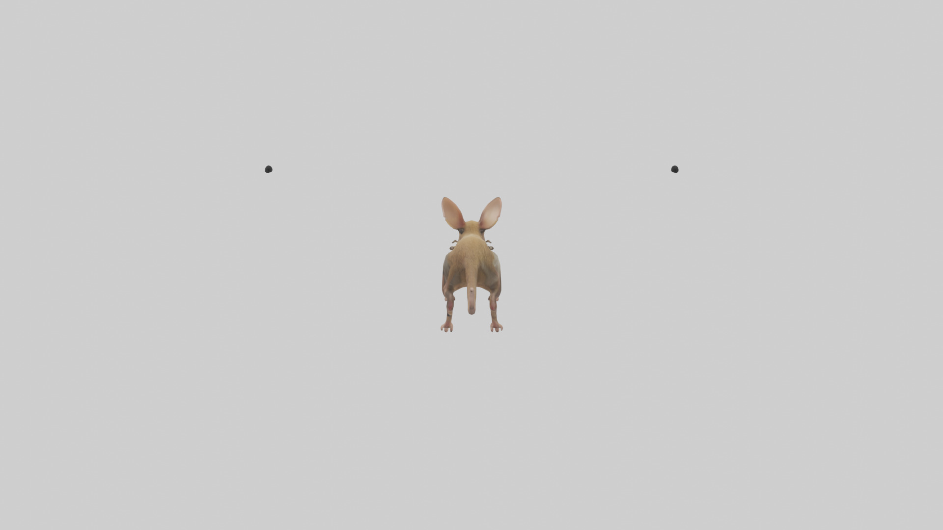 Kangaroo Mouse hopping model Low-poly 3D model_1
