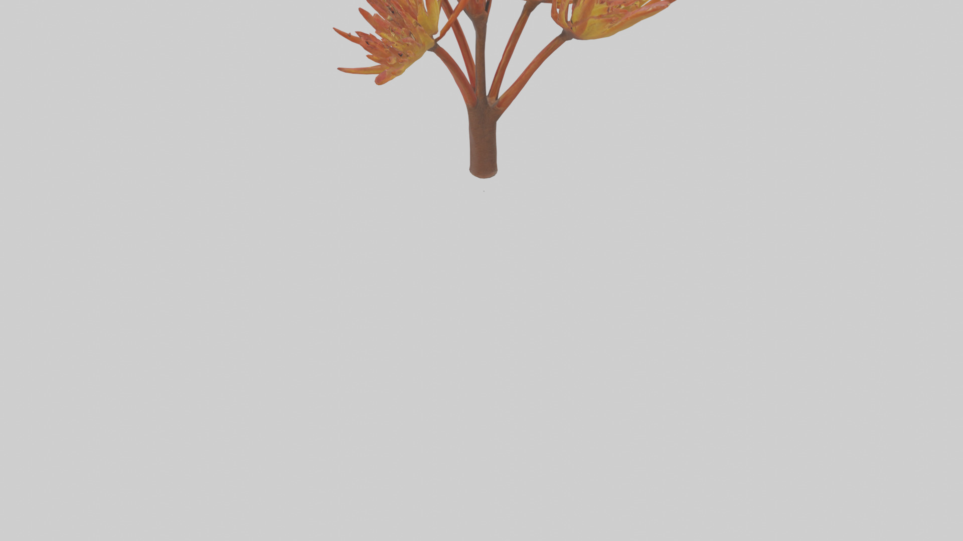 Kangaroo Mouse hopping model Low-poly 3D model_9